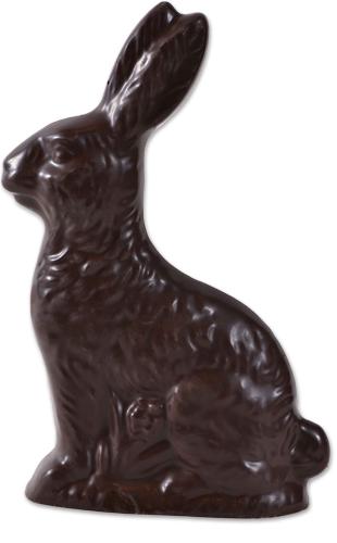 Solid Chocolate Easter Bunny