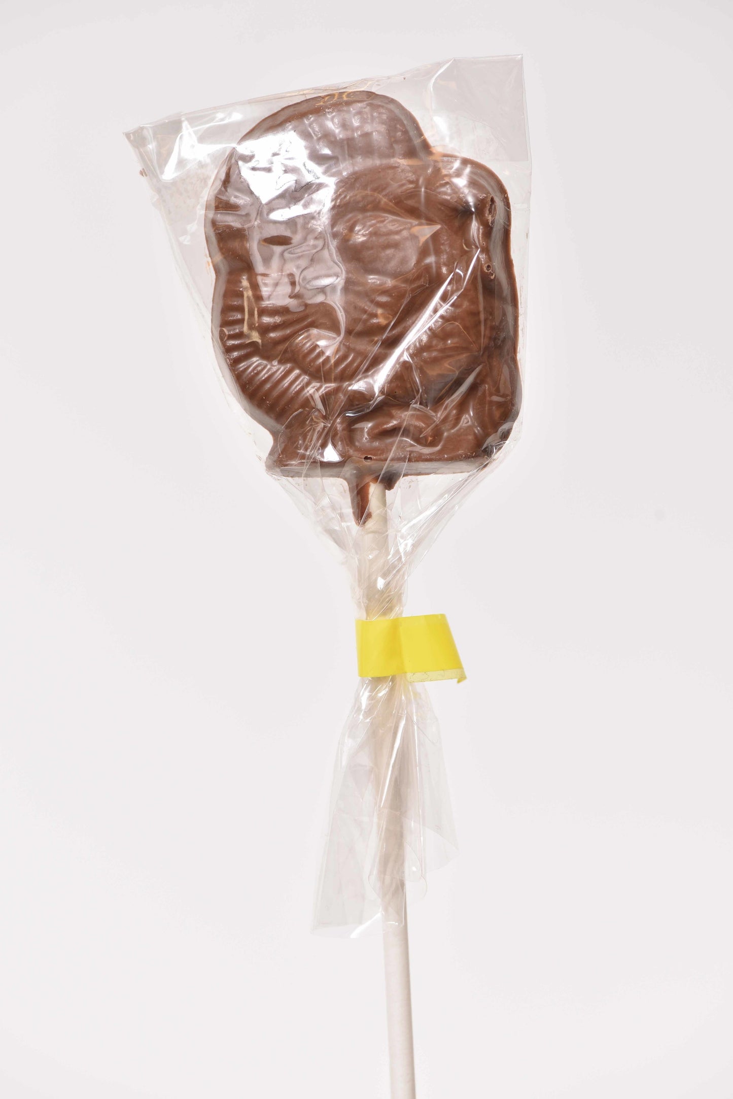 Milk Chocolate Turkey Pop - Conrad's Confectionery