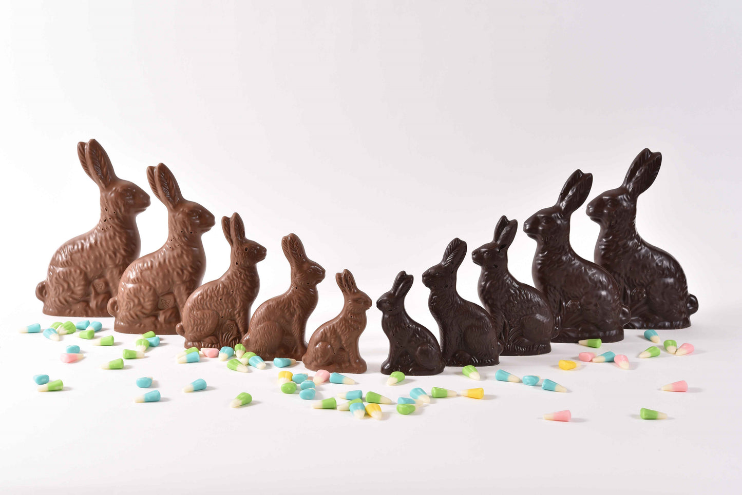 Solid Chocolate Easter Bunny