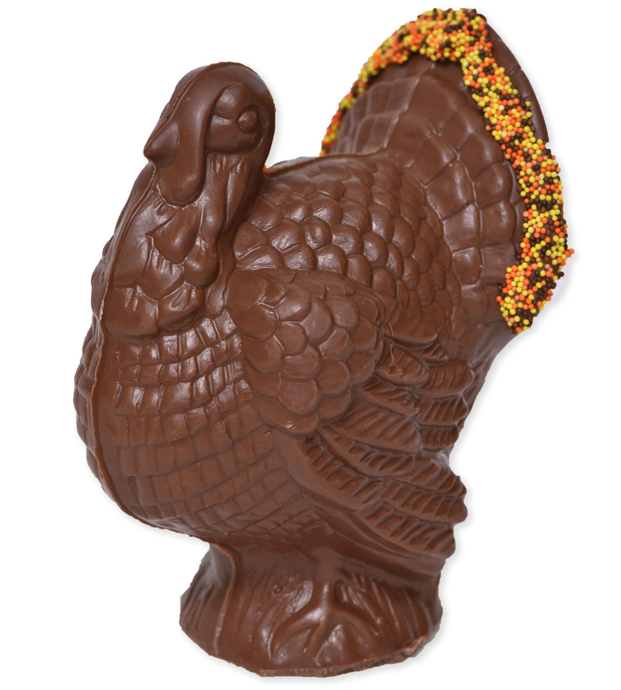 6" Milk Chocolate model "C" Turkey - Conrad's Confectionery