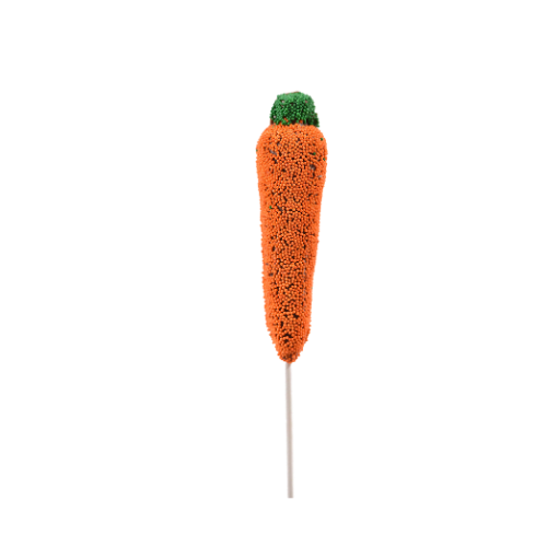 Milk Chocolate Carrot Lollipop