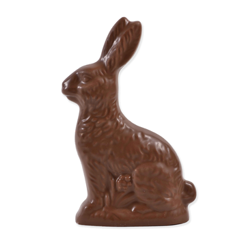 Solid Chocolate Easter Bunny