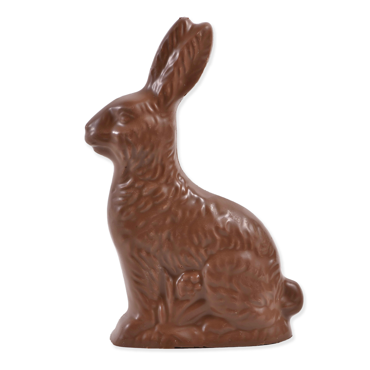 Solid Chocolate Easter Bunny