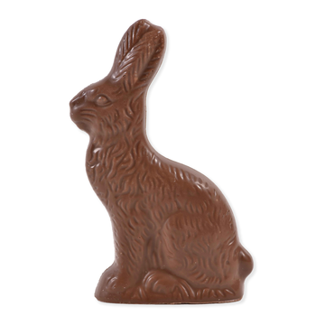 Solid Chocolate Easter Bunny