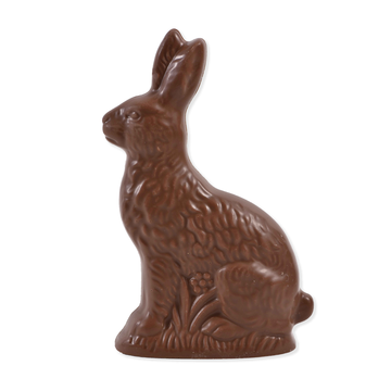 Solid Chocolate Easter Bunny