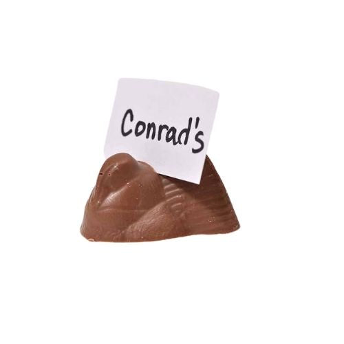 Milk Chocolate Place Card Turkey