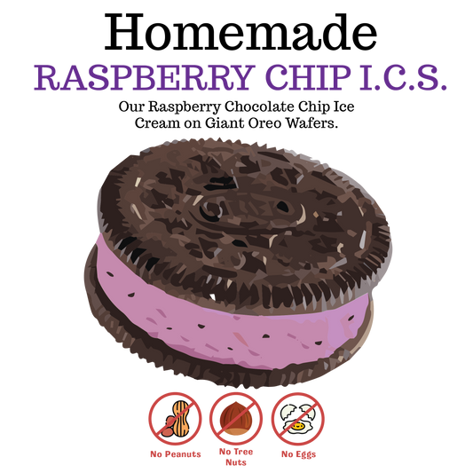 Raspberry Chocolate Chip Ice Cream Sandwich