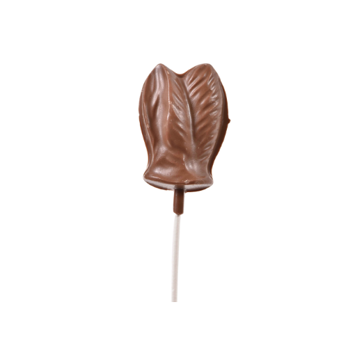 Milk Chocolate Bunny Ear Lollipop