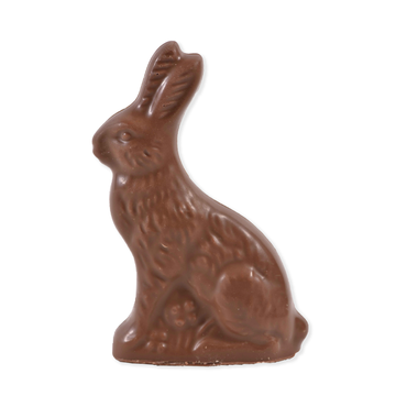 Solid Chocolate Easter Bunny