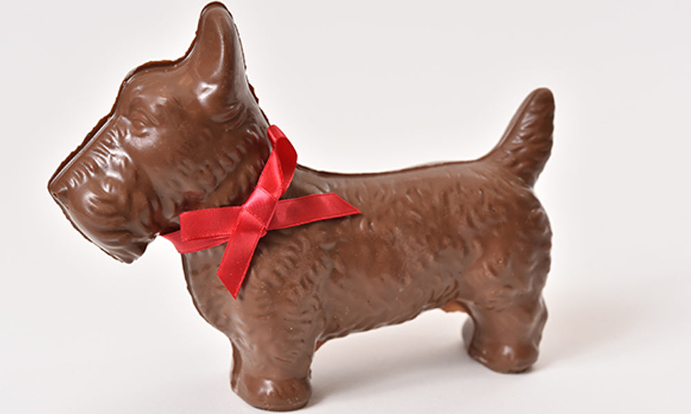 Milk Chocolate Scottie Dog (Hollow) - Conrad's Confectionery